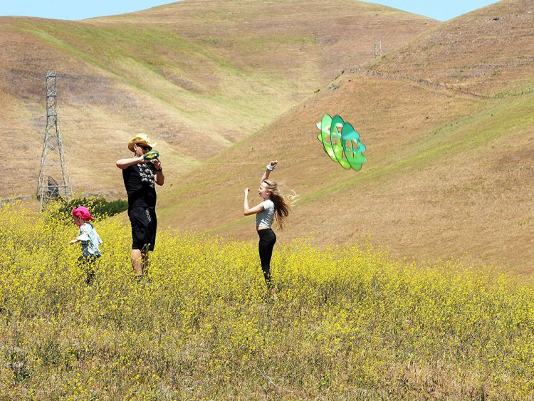 Lynch Canyon Kite-Flying Festival
