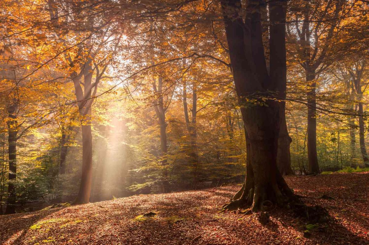 Fall greets us with a cool breeze 