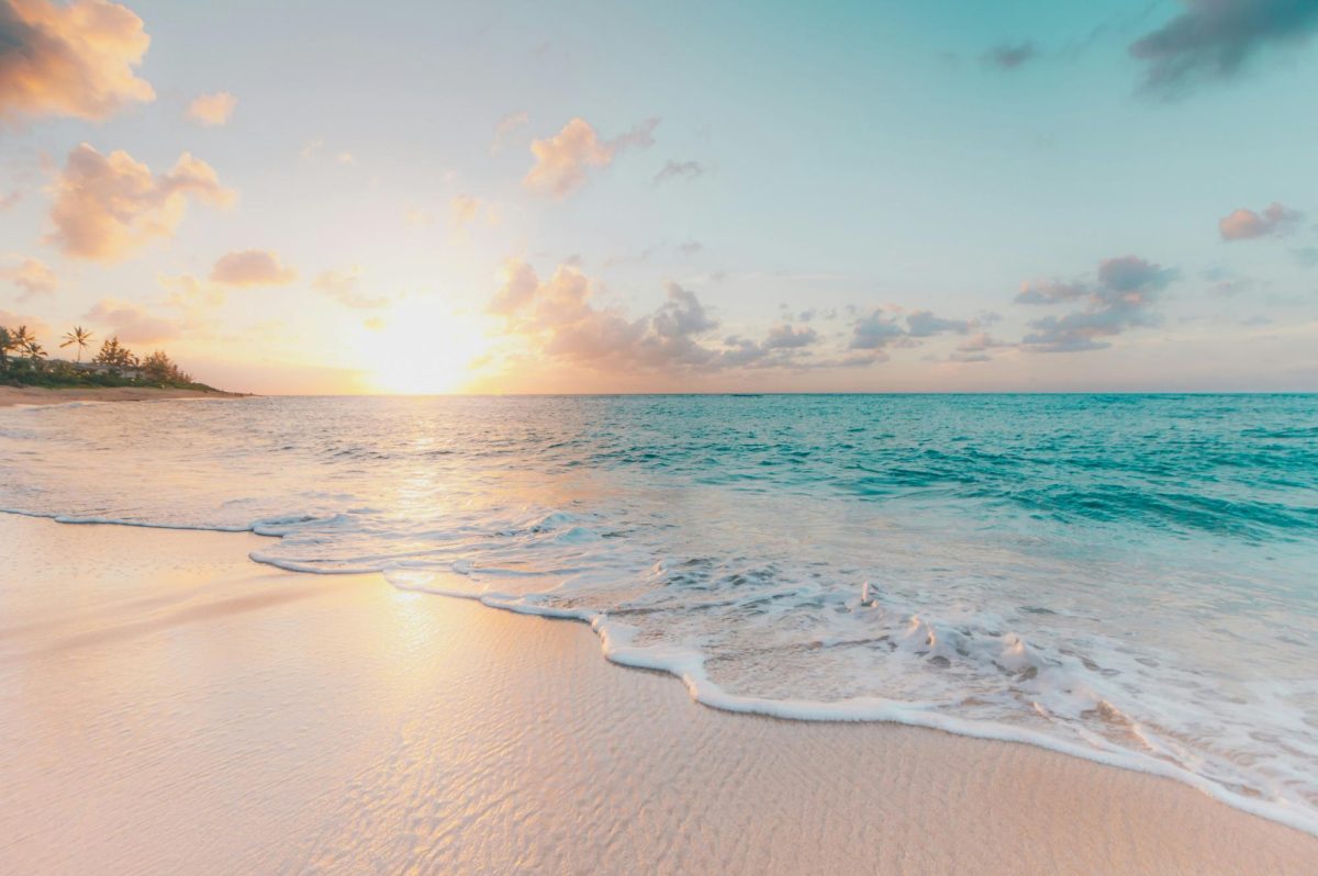 Hawaiian beach shore during golden hour. From unplash.com.