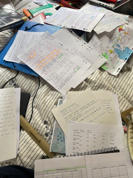 The Weight of work without catch up days: Stacks of textbooks and scattered papers fill a students desk, showing how quickly assignments and responsibilities can accumulate in high school. Without dedicated catch up days, students may struggle to keep up with their workload highlighting the importance of scheduled time for keeping up.